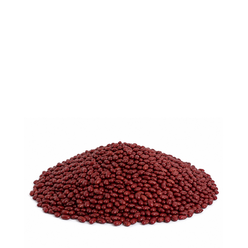 1013927 Porotos colorados 25 kilos Terrasana - Image 1